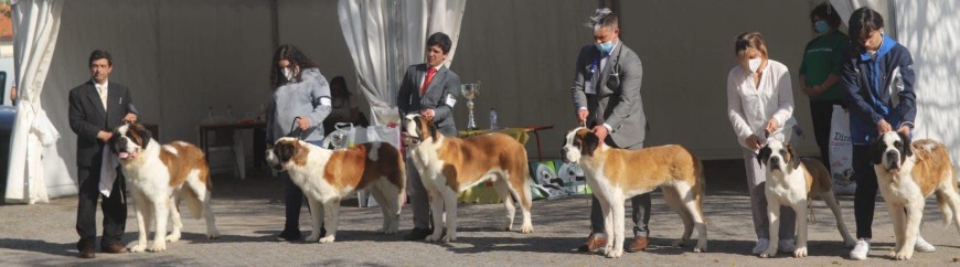 5ª E.C. NACIONAL DO ALTO MINHO